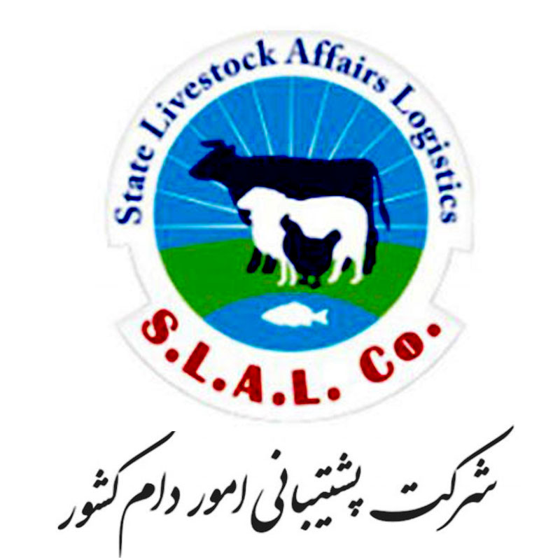 شرکت شماره یک